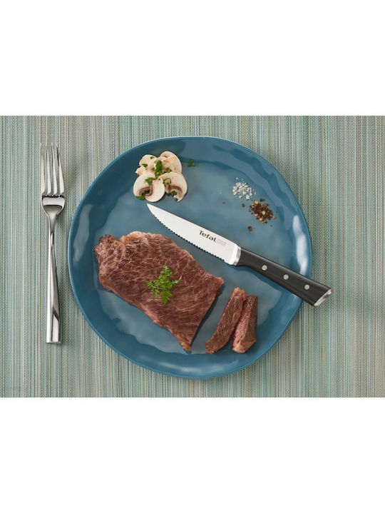 Tefal Ice Force Knives Meat from Stainless Steel 11cm 4pcs