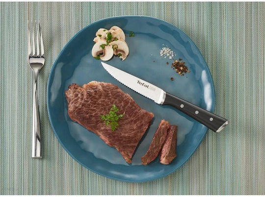 Tefal Ice Force Μαχαίρια Κρέατος από Ανοξείδωτο Ατσάλι 11cm 4τμχ