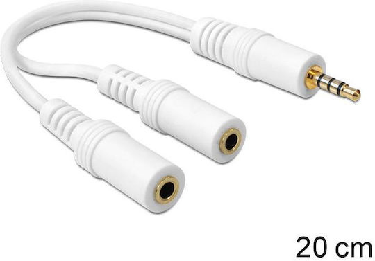 DeLock Converter 3.5mm male to 3.5mm 2x female White 1pcs 65447