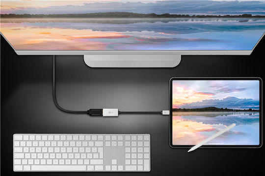 Goobay Μετατροπέας USB-C male σε DisplayPort female Γκρι 1τμχ 60195