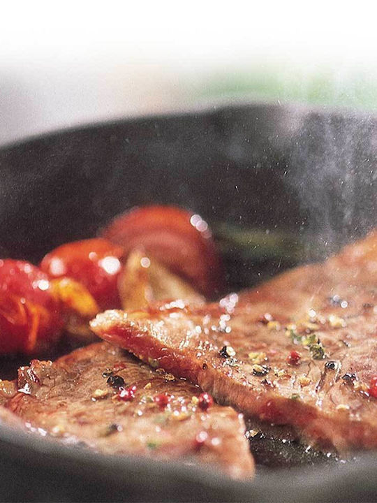Lodge Pan aus Gusseisen 20.3cm