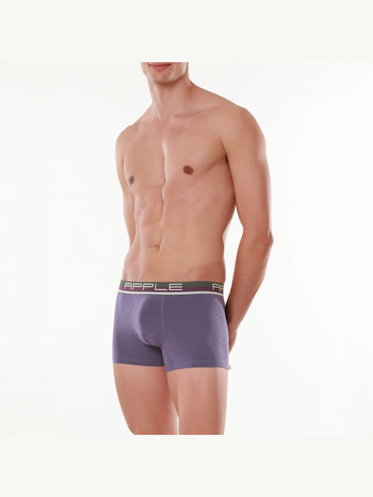 Men's Boxer Purple