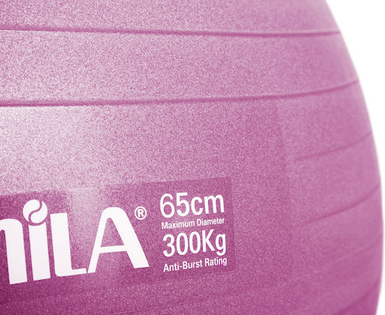 AMILA Μπάλα Pilates 65cm , 1.4kg σε Ροζ Χρώμα Bulk