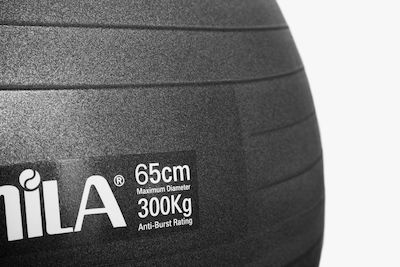 Amila 95845 Pilates Ball 65cm 1.35kg Black