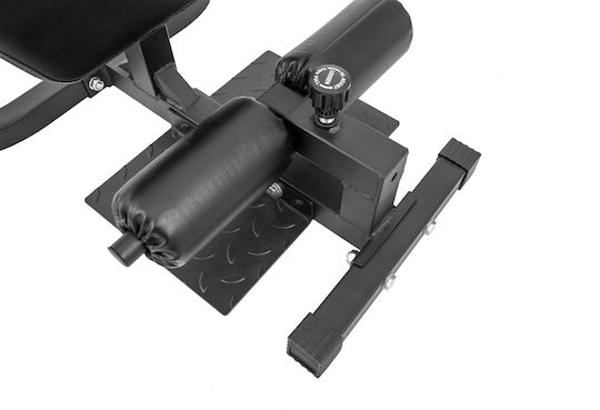 AMILA Sissy Squat Abs Machine with Weights