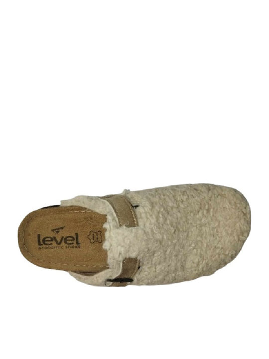 Level Anatomic
