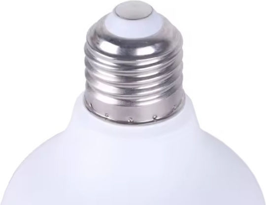 LED-Lampe 20W für Fassung E27 Kühles Weiß