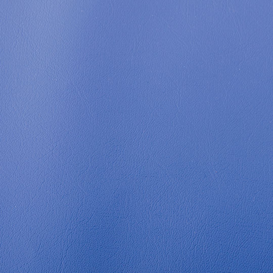 AMILA Fitnessmatte für Kunstturnen Blau (200x100x10cm)