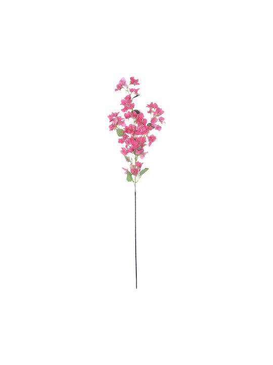 Bougainvillea Fuchsie 115cm in Box GloboStar