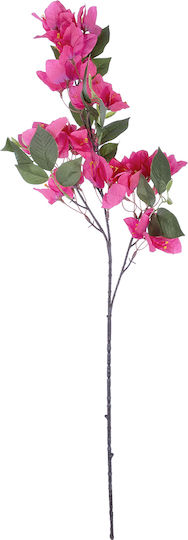 Bougainvillea Fuchsien 80cm in Box GloboStar