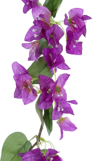 Bougainvillea Mov 80cm în Cutie GloboStar