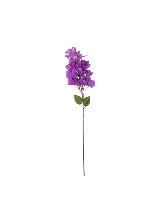 Bougainvillea Lila 80cm in Box GloboStar