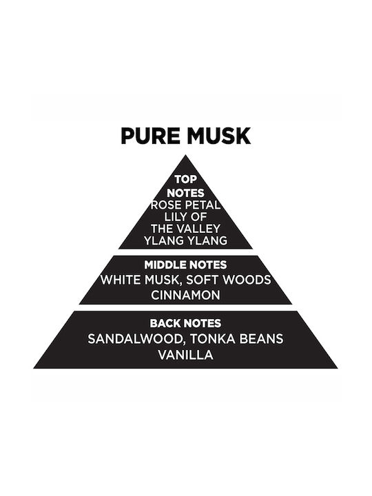 Auto Gs Diffuser με Άρωμα Pure Musk 77301 200ml