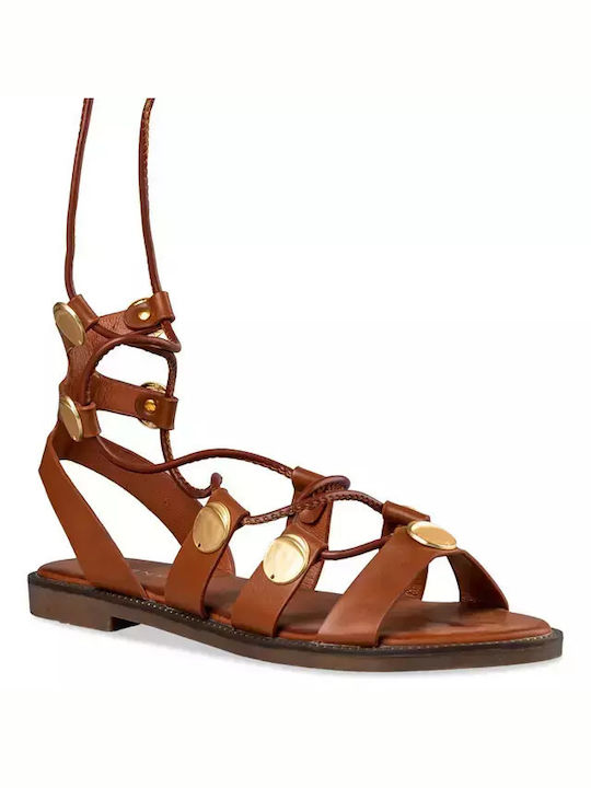 Envie Shoes Women's Flat Sandals in Brown Color