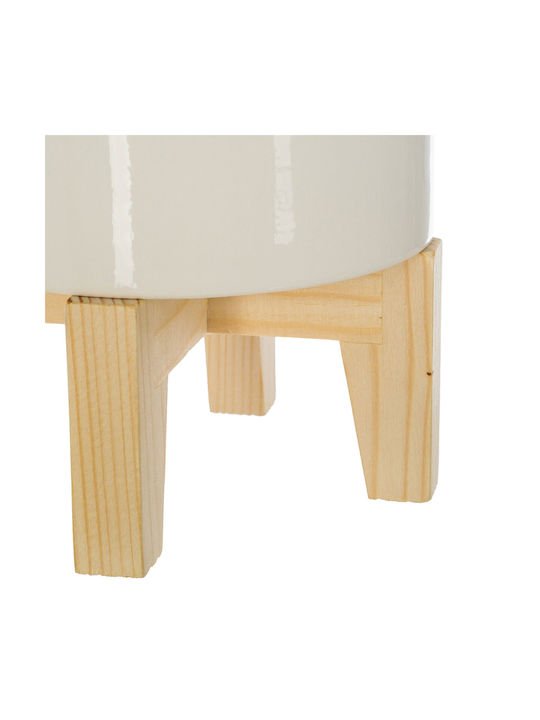 Φοίνικας σε Γλάστρα 72cm