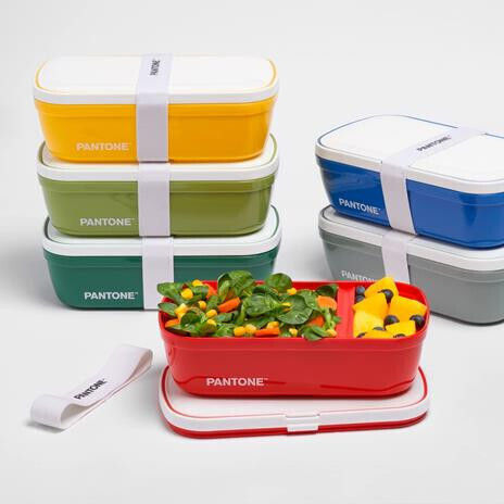 Pantone Pantone Kunststoff Mehrfarbig Mit Fächern 1.7l