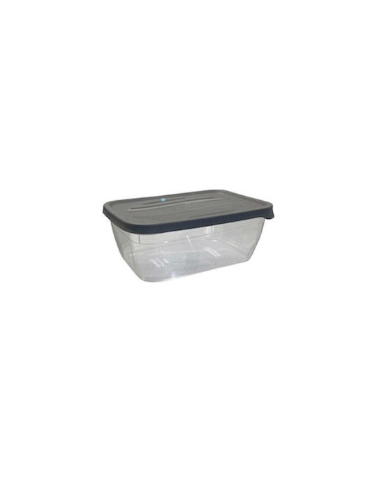 TnS Cutie pentru Mâncare Plastic Gri Potrivit pentru Cuptor cu Microunde 2500ml 1buc