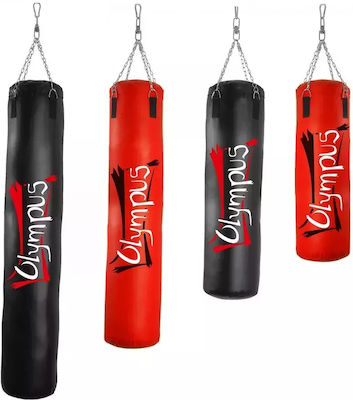 Olympus Sport Speed Punching Bag Red