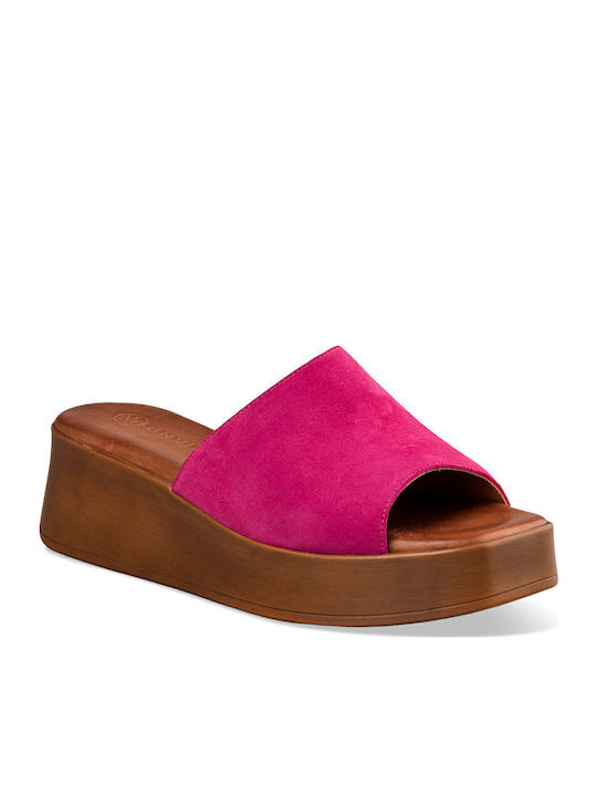 Envie Shoes