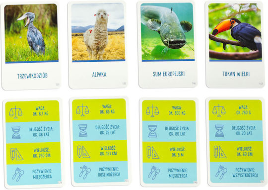 Board Game Trackers for 2-6 Players 8+ Years Old (PL) ikonka