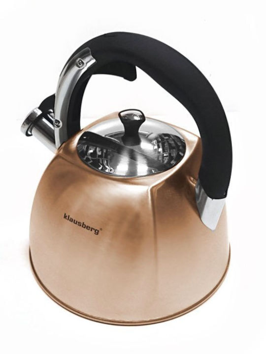 Kettle with Filter Stainless Steel in Bronze Color 3000ml