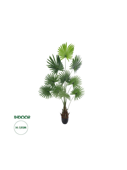 Globostar Artificial Garden Serenoa Palm Plant 20972 Διακοσμητικό Φυτό Φοίνικα Σερενόα Φ103 X Υ180cm Globostar Artificial Garden Serenoa Palm Plant 20972 Διακοσμητικό Φυτό Φοίνικα Σερενόα Φ103 X Υ180cm