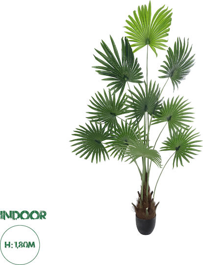 Globostar Artificial Garden Serenoa Palm Plant 20972 Decorative Phoenix Palm Plant H103 x H180cm Globostar Artificial Garden Serenoa Palm Plant 20972 Decorative Phoenix Palm Plant H103 x H180cm