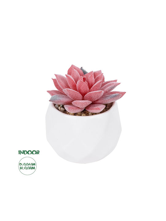 Globostar Artificial Garden Succulent Sedeveria Potted Plant 20989 Decorative Plant Sedeveria Φ6.5 X H8cm