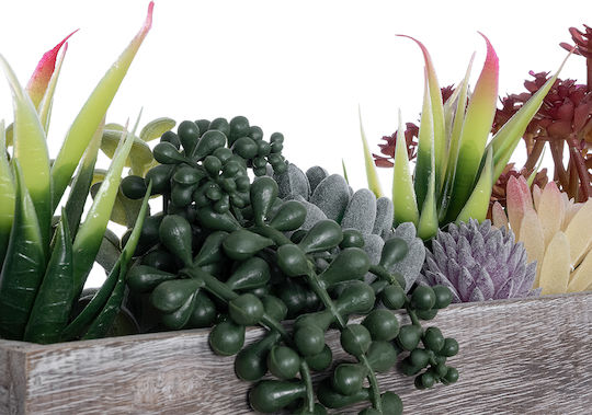 Globostar Artificial Garden Succulent Various Plant Potted Decorative Plant Mix L29 X W10 X H18cm GloboStar