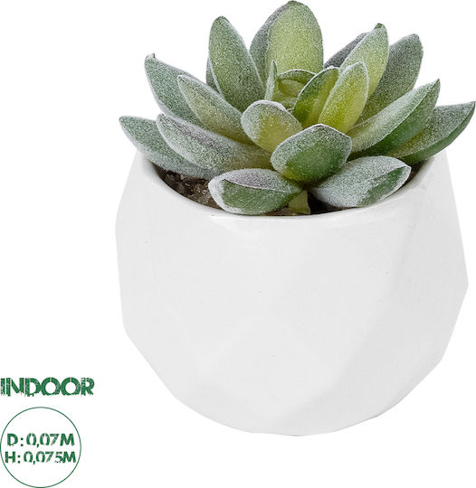 Globostar Artificial Garden Succulent Sedeveria Potted Plant 20987 Decorative Plant Sedeveria Φ7 X H7.5cm Globostar Artificial Garden Succulent Sedeveria Potted Plant 20987 Decorative Plant Sedeveria Φ7 X H7.5cm