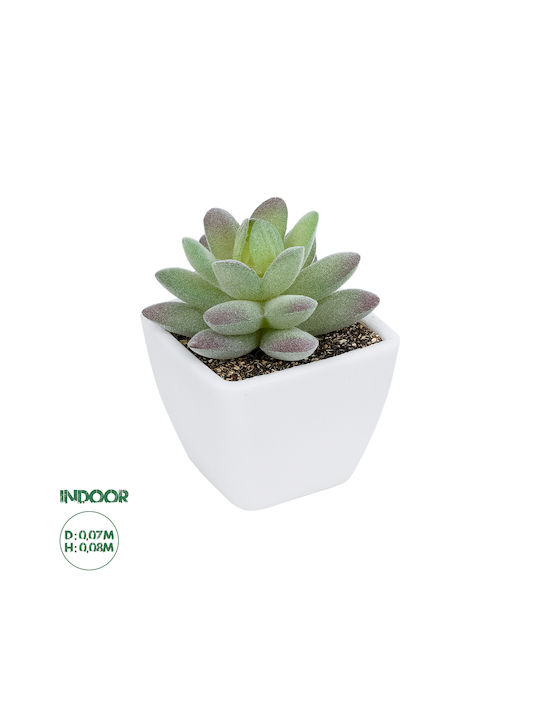 Globostar Artificial Garden Succulent Sedeveria Potted Plant 20975 Διακοσμητικό Φυτό Φοίνικα Σερενόα Φ7 X Υ8cm