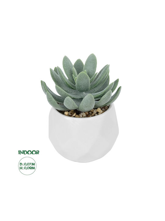 Globostar Artificial Garden Succulent Sedeveria Potted Plant 20998 Decorative Plant Sedeveria Φ7 X H9cm