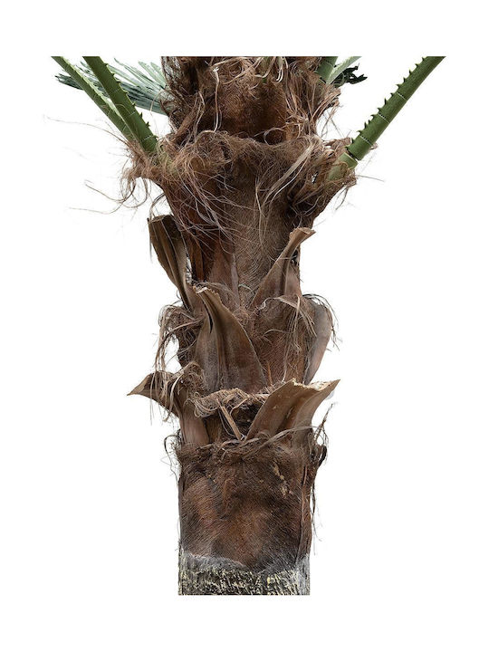 Arbore de palmier decorativ Globostar Artificial Garden Plant Palm Tree 21055 Φ240 X H400cm