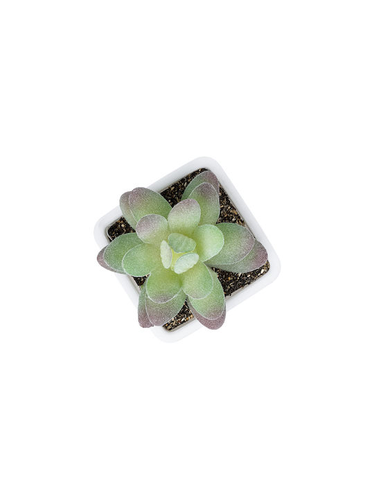 Globostar Artificial Garden Succulent Sedeveria Potted Plant 20975 Decorative Plant Phoenix Serenoa H7 X H8cm