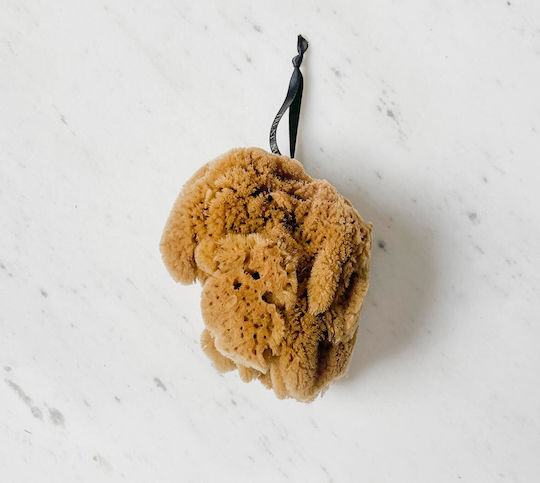 Treat Me Well Natural Bath Sponge Φυσικό Σφουγγάρι Μπάνιου Καφέ 1τμχ