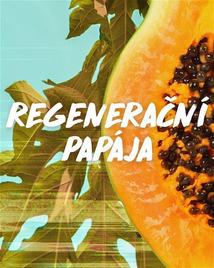 Garnier Fructis Papaya Hair Food Balsam De Par Reparare Hidratare Și Hrănire 350ml