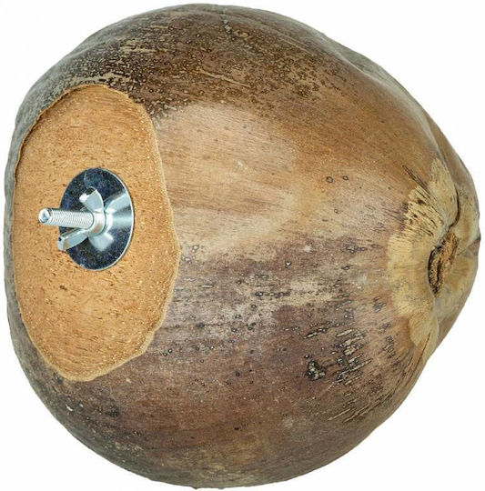 Kokosnuss Nest Spielzeug 25x12cm