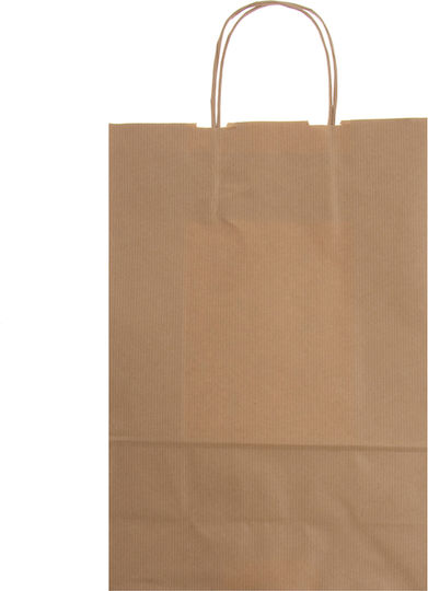Geschenktüten Papier 20 Stück Natur Kraft Mittel I2