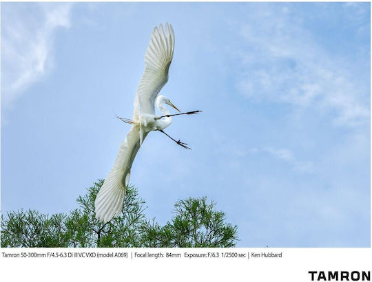 Tamron Full Frame Φωτογραφικός Φακός 50-300mm f/4.5-6.3 Di III VC VXD Tele Zoom για Sony E Mount Μαύρος