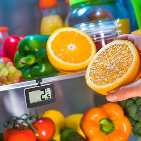 TFA 30.2028.01 Electronical Refrigerator Thermometer -20°C / +50°C
