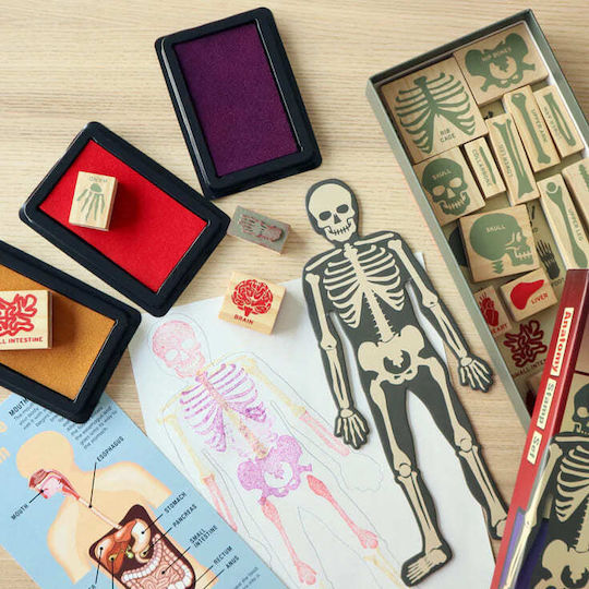 Kikkerland Σφραγίδες Anatomy Stamp για Παιδιά 3+ Ετών 21τμχ