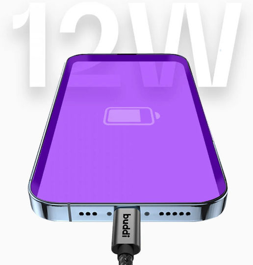 Buddi USB 2.0 Cable USB-C male - USB-A 12W Μαύρο 2m 122296