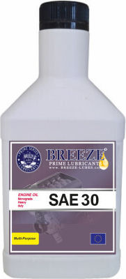 Breeze Autopflegeöl 30W 1Es