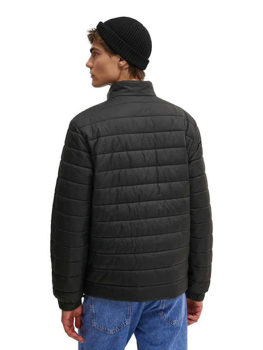 Brenti2431 Winter Jacket Black