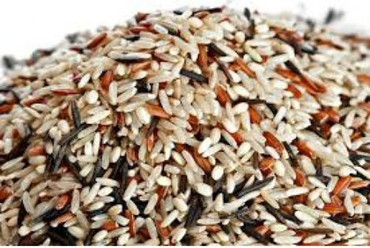 Βιοβλαστός Βιολογικό Ρύζι Mix 500gr