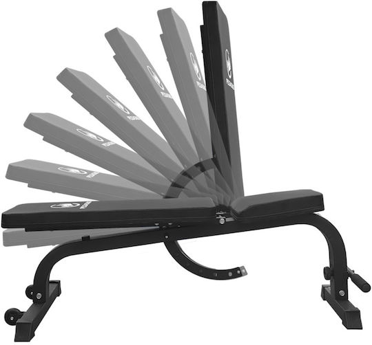 Pegasus Adjustable Workout Bench General Use