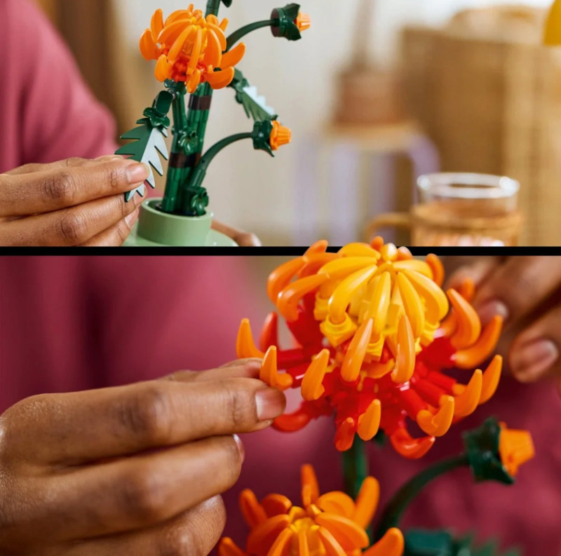 LEGO Botanical Collection Chrysanthemum Set pentru 18+ ani Ani