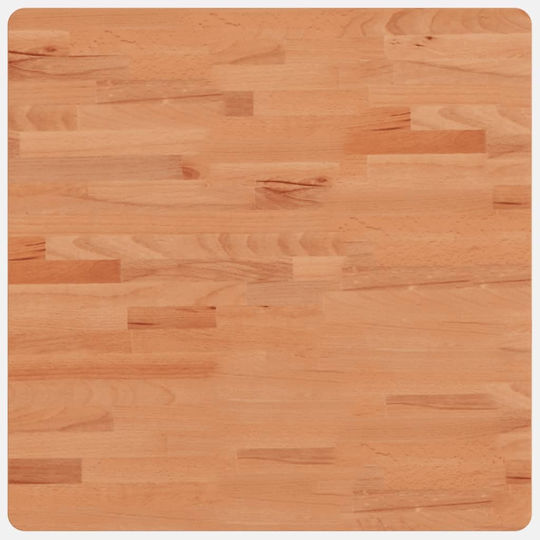 vidaXL Waschtisch ohne Waschbecken L60xB60xH2.5cm Beech