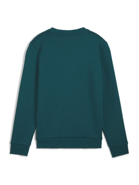 Kinder-Sweatshirt mit Kapuze und Taschen Grün Ess+ 2 Col Big Crew