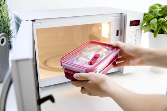 Tefal Masterseal Mittagsboxen Kunststoff Rote 1.2l